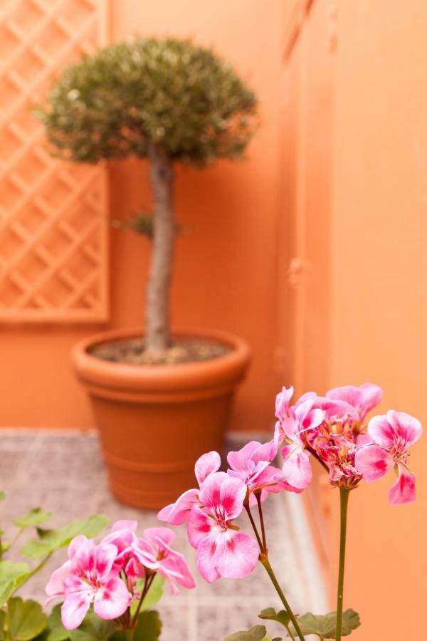 Vila Casa Do Sul Évora Exteriér fotografie